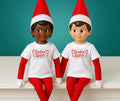 Stuber Elf on the Shelf