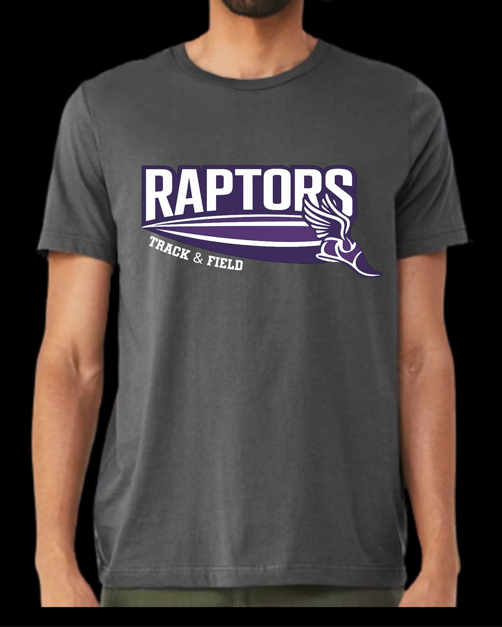 Raptors Flying Shoe