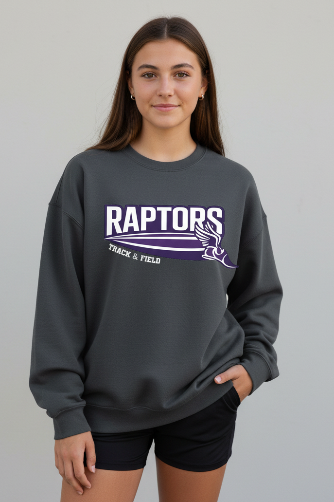 Raptors Flying Shoe