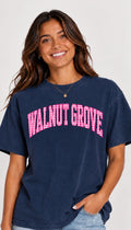 Walnut Grove Gingham Pink