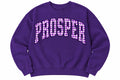 Windsong Prosper Gingham